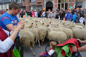 2012-05-13 Turnhout Tijlstoet (47)