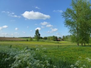 2012-05-13 Lennik 007