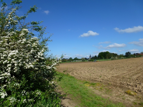 2012-05-13 Lennik 008