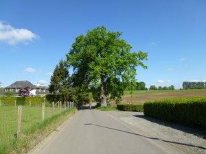 2012-05-13 Lennik 013