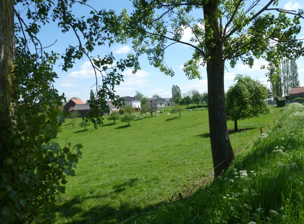 2012-05-13 Lennik 021