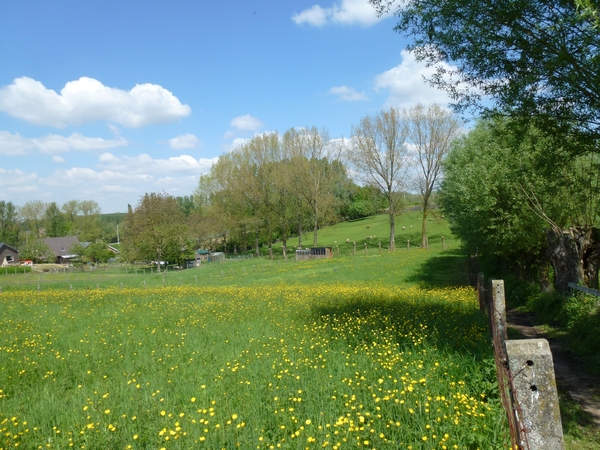 2012-05-13 Lennik 024