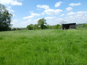 2012-05-13 Lennik 025