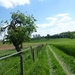 2012-05-13 Lennik 026