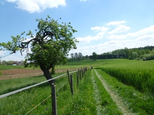 2012-05-13 Lennik 026