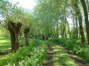 2012-05-13 Lennik 028