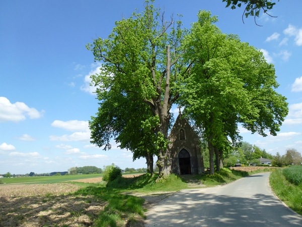 2012-05-13 Lennik 030