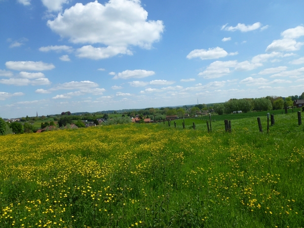 2012-05-13 Lennik 031