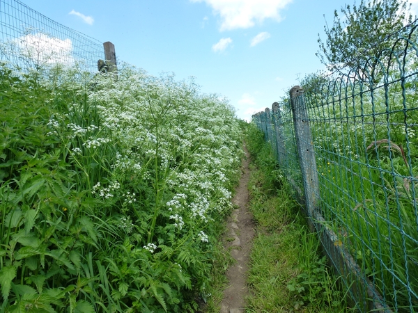 2012-05-13 Lennik 032