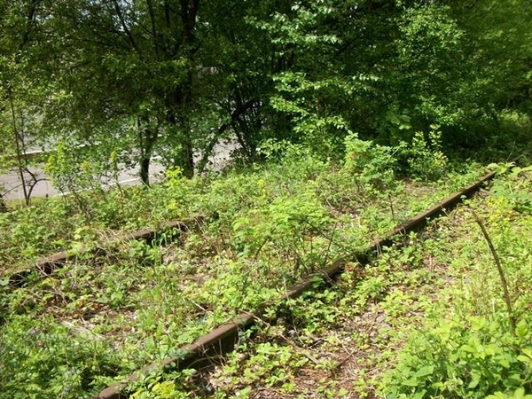 137-Oude spoorweglijn Dinant-Givet in Hastire