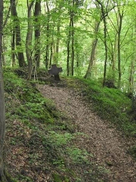 200-stijgen van 93 tot 220m.hoogte naar Falmignoul...