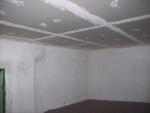 plafond living