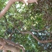 Kroatie 2012 165