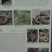 Kroatie 2012 208