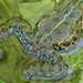 Kroatie 2012 209