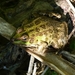 Kroatie 2012 210