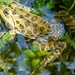 Kroatie 2012 212