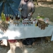 Kroatie 2012 224