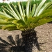 Kroatie 2012 251