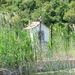 Kroatie 2012 286