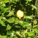 Kroatie 2012 412