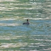 Kroatie 2012 586