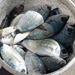 Kroatie 2012 594