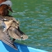 Kroatie 2012 600