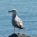 Kroatie 2012 604