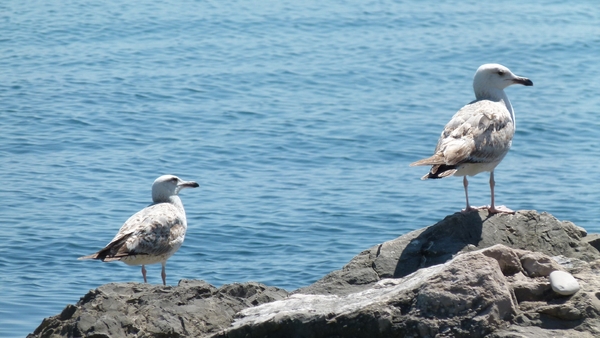 Kroatie 2012 605