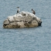 Kroatie 2012 627