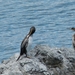Kroatie 2012 628
