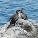 Kroatie 2012 629