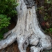 Kroatie 2012 633