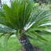 Kroatie 2012 641