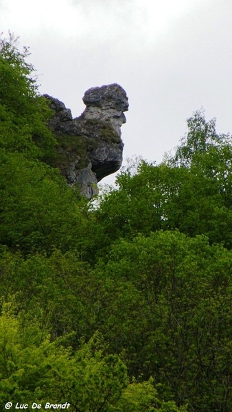 marche batteurs de cuir Dinant wandeling