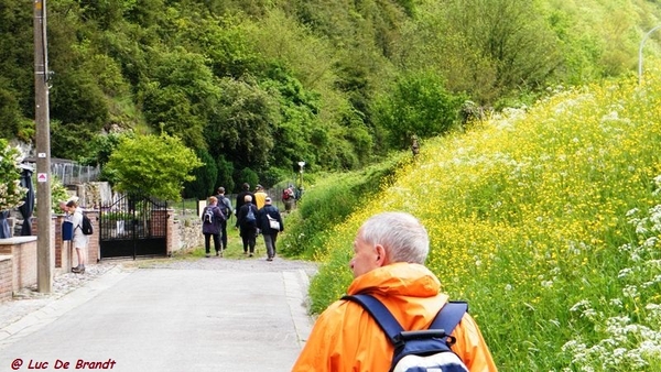 marche batteurs de cuir dinant wandeling