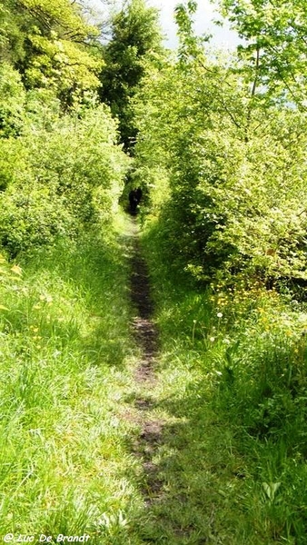 marche batteurs de cuir dinant wandeling