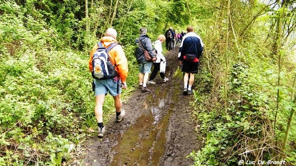 marche batteurs de cuir dinant wandeling