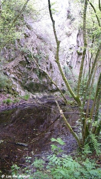 marche batteurs de cuir dinant wandeling