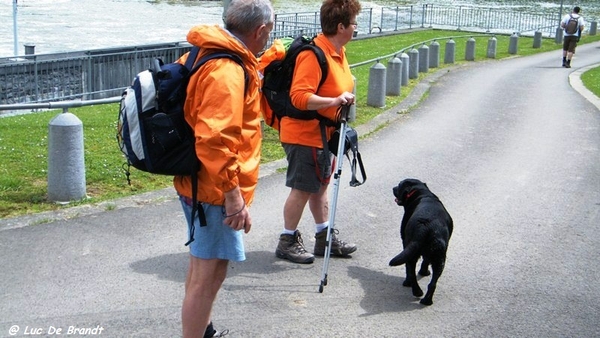 marche batteurs de cuir dinant wandeling