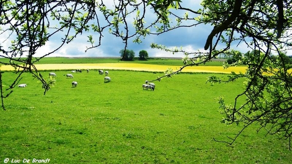 marche batteurs de cuir dinant wandeling