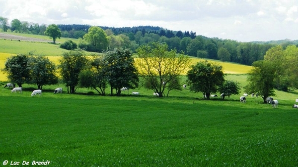 marche batteurs de cuir dinant wandeling