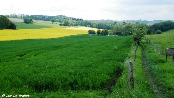 marche batteurs de cuir dinant wandeling