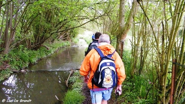 marche batteurs de cuir dinant wandeling