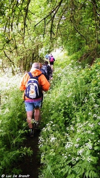 marche batteurs de cuir dinant wandeling