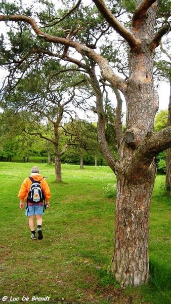 marche batteurs de cuir dinant wandeling