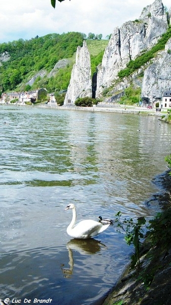 marche batteurs de cuir dinant wandeling