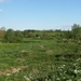 Baasrode Mei 2012 005