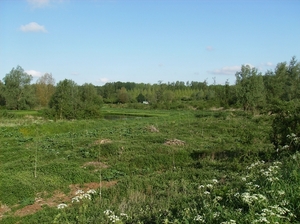 Baasrode Mei 2012 005